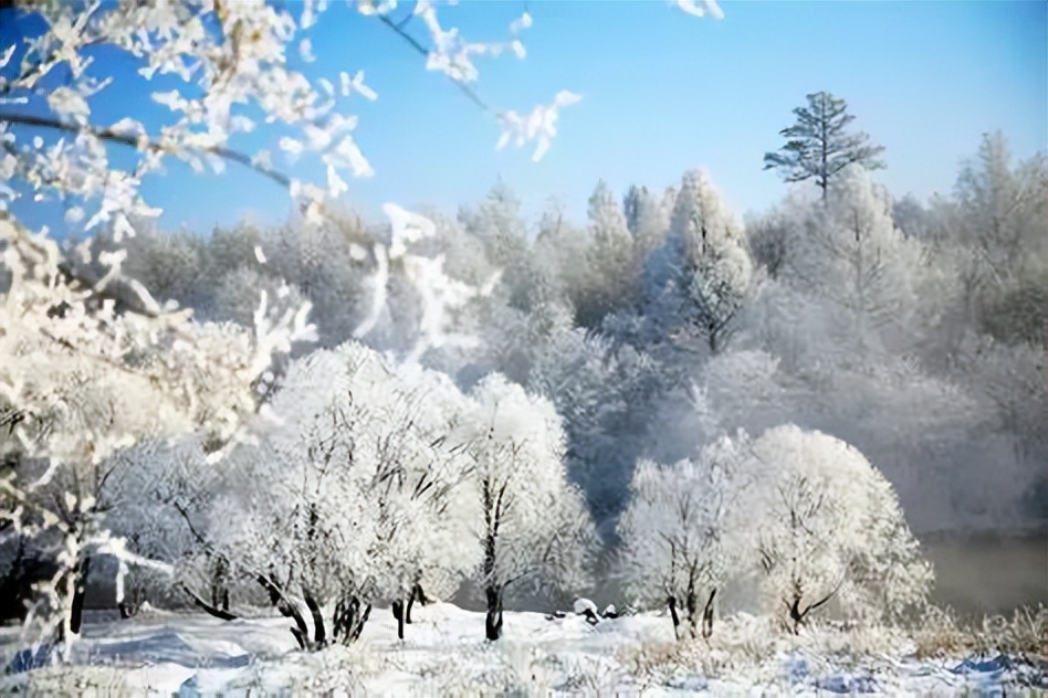 黑龙江哪里有雪景列车,黑龙江雪国列车