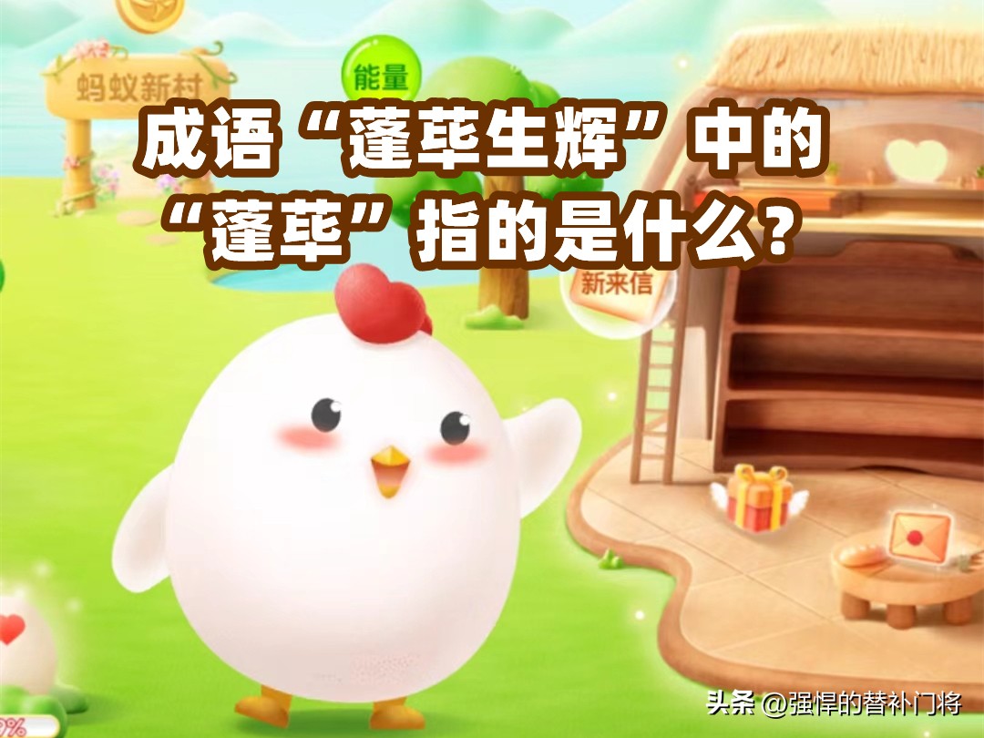 蓬荜生辉一词中的蓬荜是什么意思,蓬荜生辉的蓬荜是房间的什么部位