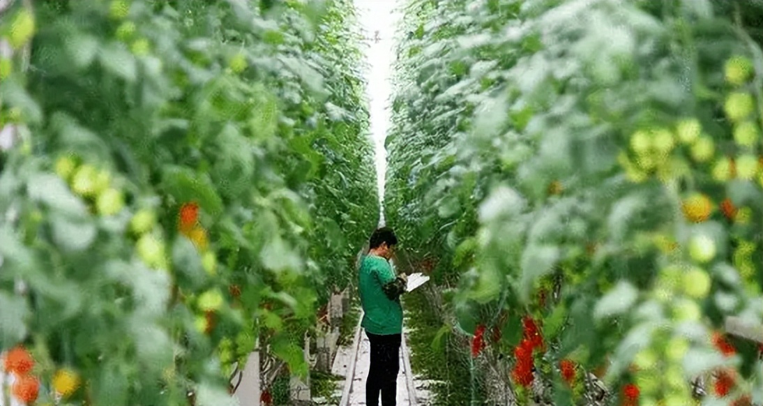 农业产业周报|中国一拖、优然牧业、云天化、明康汇最新动态