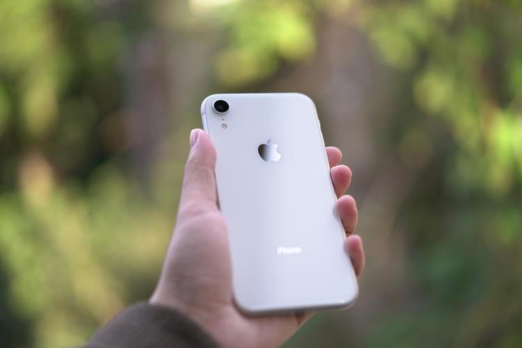 买二手8p还是xr,iphonexr是买二手还是买新机好