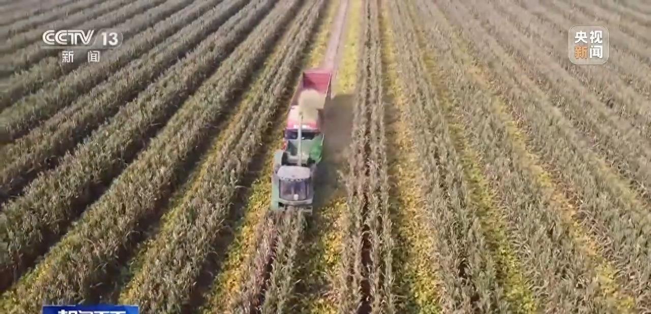 庄稼丰收但无人收割,庄稼丰收但无人收割来自什么俗话