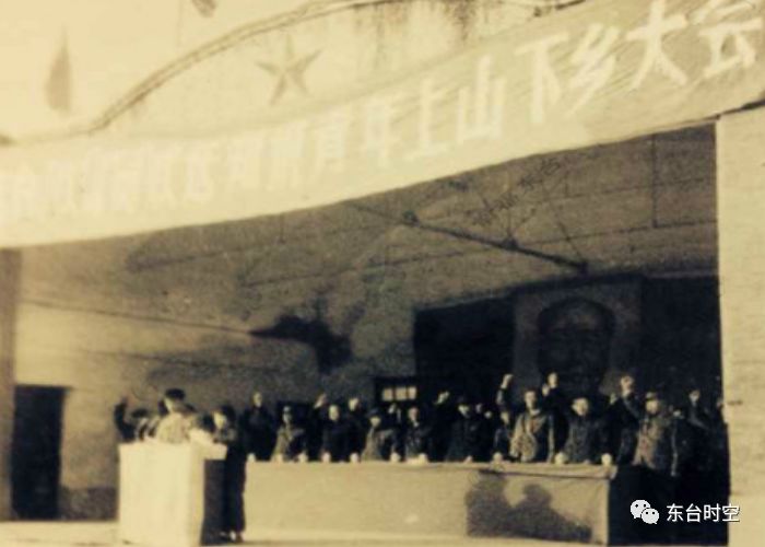 东台记忆全部视频,东台体育馆恢复时间