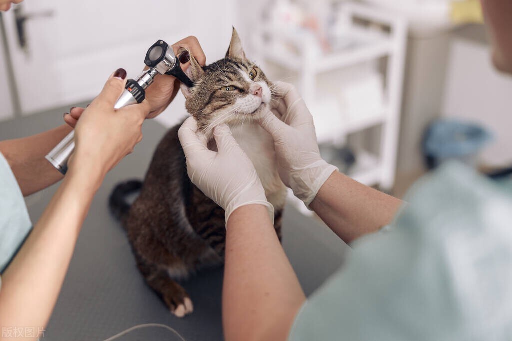 农学考研食品科学与工程专业,农学类专业考研分析