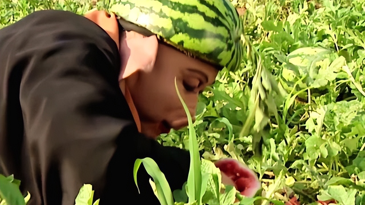 猪八戒叫悟能是什么意思,西游记猪悟能的优点