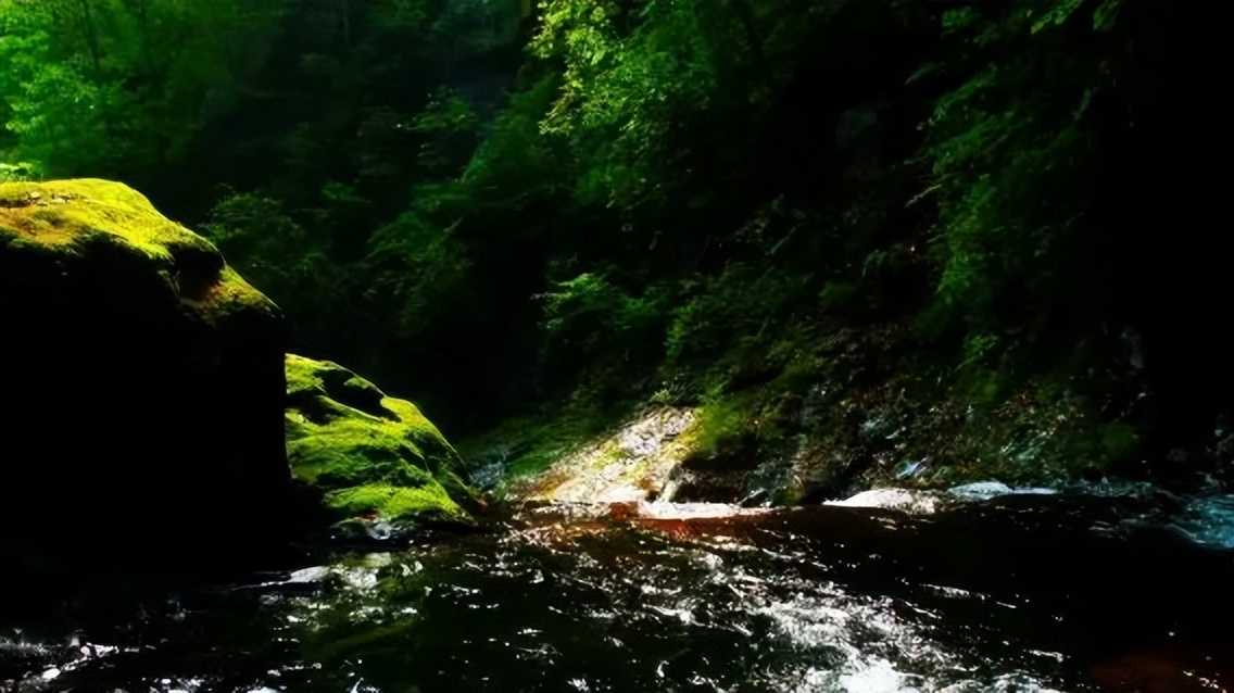 日本清酒评选,日本清酒纪录