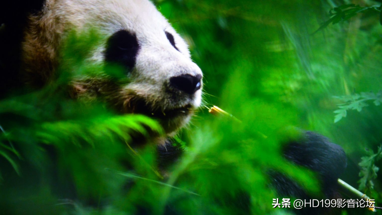 SONYVPL-XW7000ES4K激光投影机评测