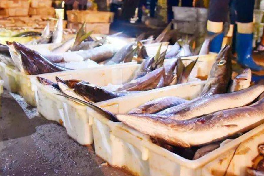 北海哪个码头的海鲜又多又便宜,来北海吃海鲜新鲜又便宜