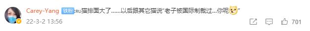 北约制裁俄罗斯的猫,俄罗斯的猫被制裁了是怎么回事