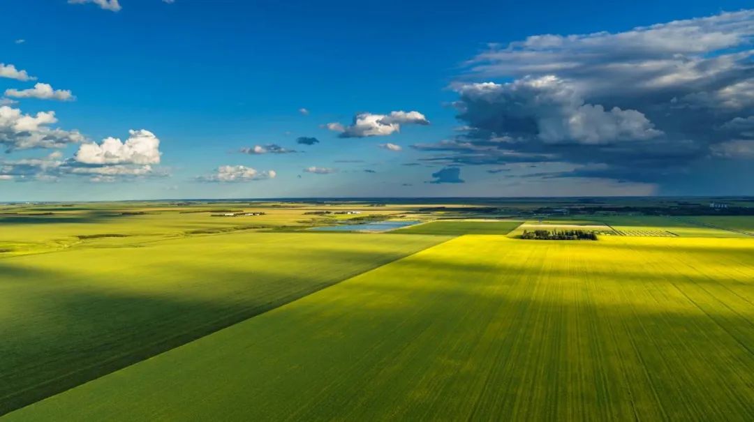 加拿大萨斯喀彻温省天气预报,加拿大萨斯喀彻温省概况视频