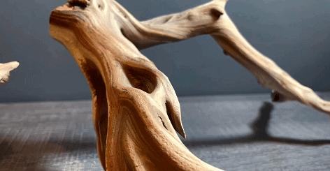 在卧室造一片弱肉强食的危险雨林，会打雷还真的会下雨