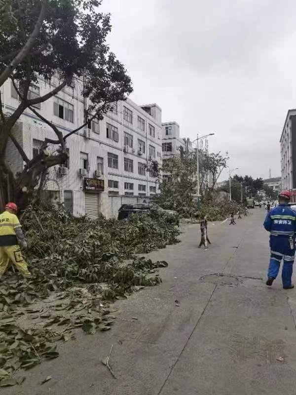 宝安500余名处级干部齐上培训课，只为了这件事！