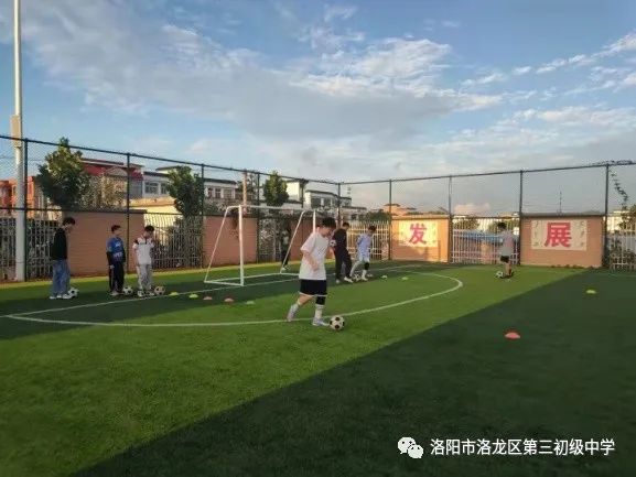 素质教育结硕果,素质教育特色学校创建实施方案