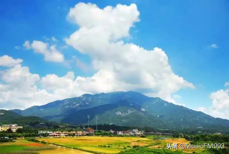 喜迎二十大广播剧《罗浮盛开文明花之寻找最美的歌》全网首播