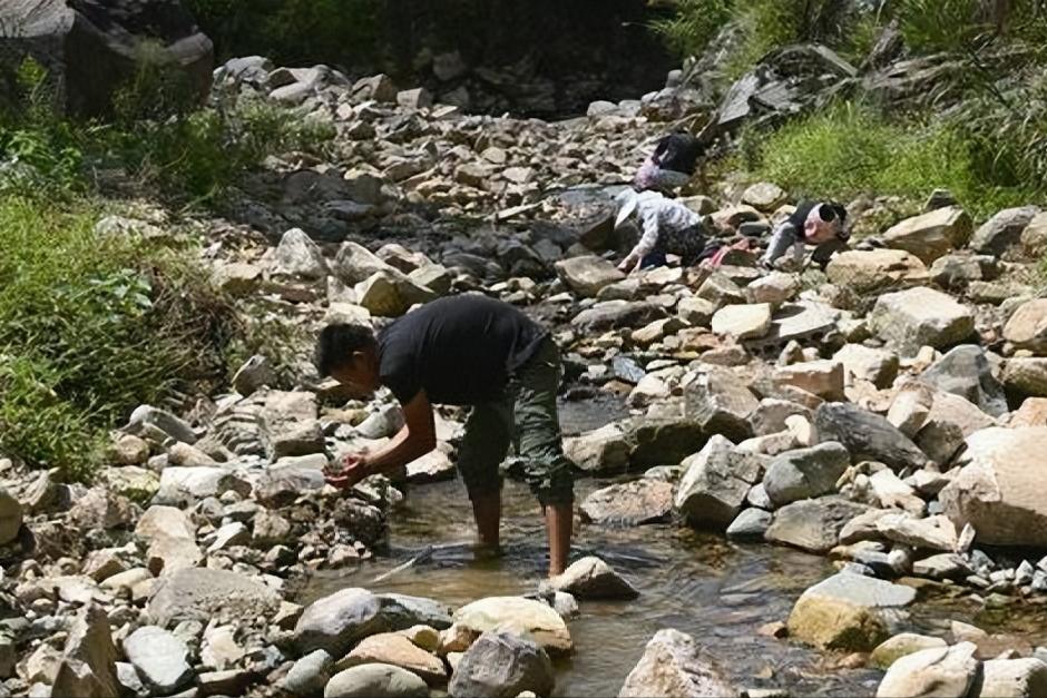 撸铁棒重现民间!给老百姓带来暴利,明令禁止背后隐藏危机
