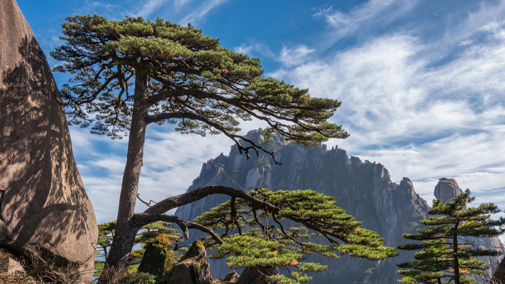 元好问为官避世,元好问以诗存史