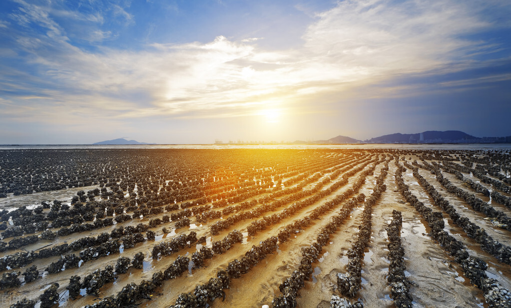 余生最好的四种活法富养自己,余生做好自己保持一颗善心