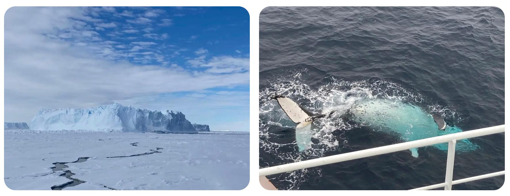 厦大学生前往南极科考,厦大地球与海洋学院和海洋三所