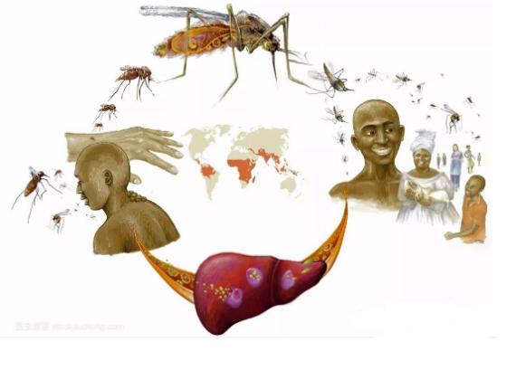 脸色发黄警惕四种疾病,脸色油腻发黄是什么疾病的症状