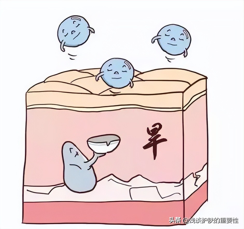 毛孔粗大收缩毛孔最有效果的方法,毛孔粗大收缩毛孔最快有效的方法