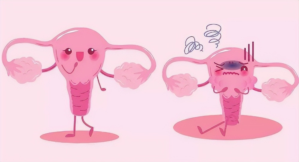 和女性聊隐私10个话题,女生防性侵谈心谈话