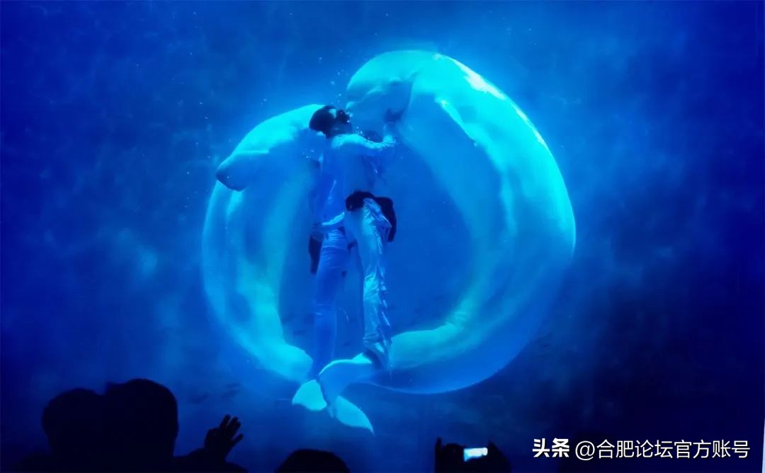 十一月合肥去哪里的机票最便宜,今年11月合肥特价机票