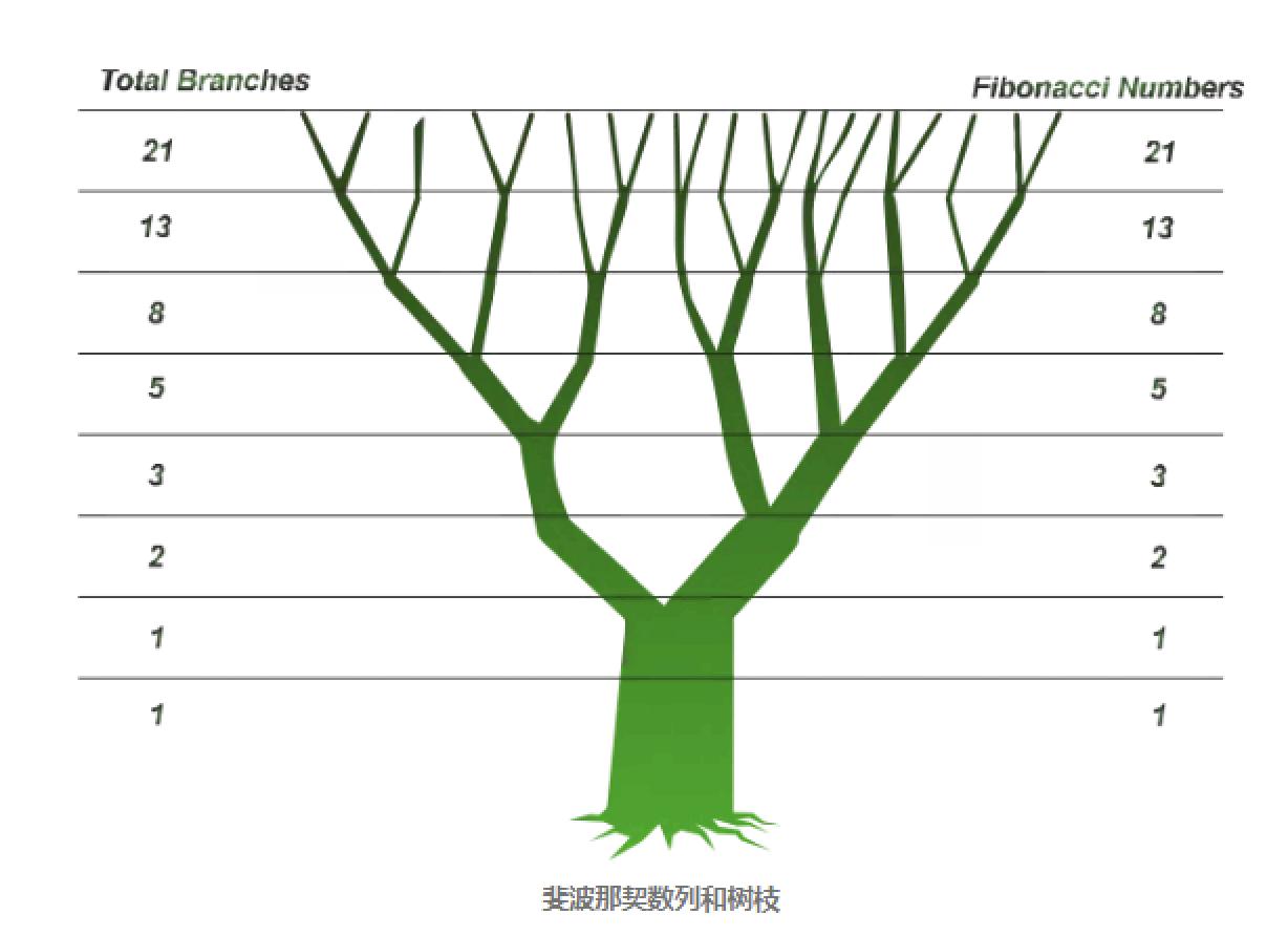 斐波那契数列秒杀高中数学,高考数学斐波那契数列规律