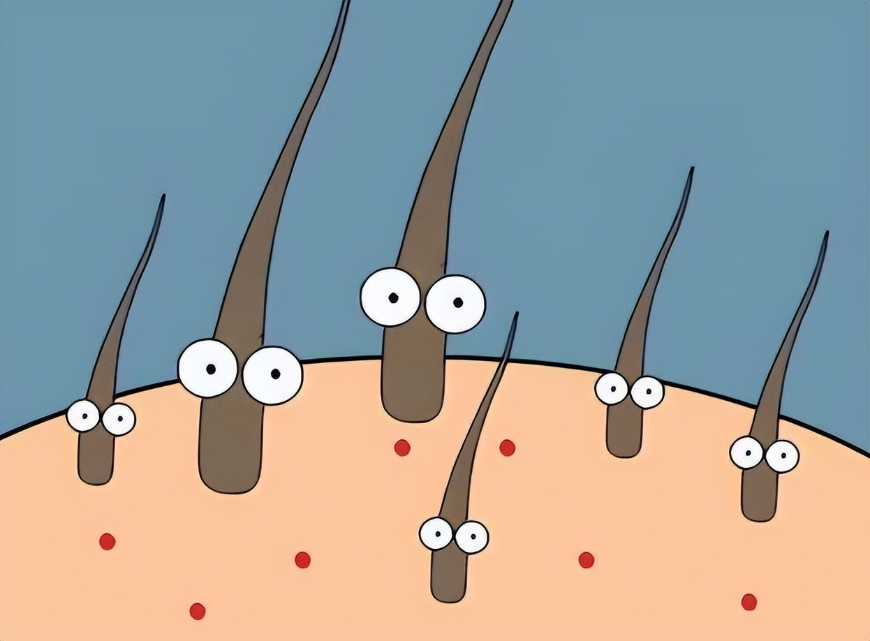 男士头上长疙瘩脓包,头上起疙瘩有脓包还掉发什么原因