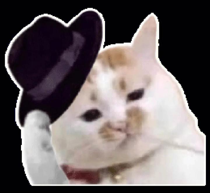 绞肉机有必要买配几副刀片的吗,绞肉机有必要买粗细可调的么