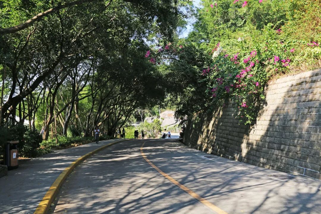 厦门亲子旅行攻略,厦门北站亲子宾馆