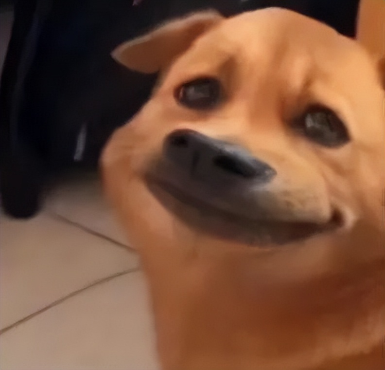 贩剑表情包评论区,贩剑表情包不回消息