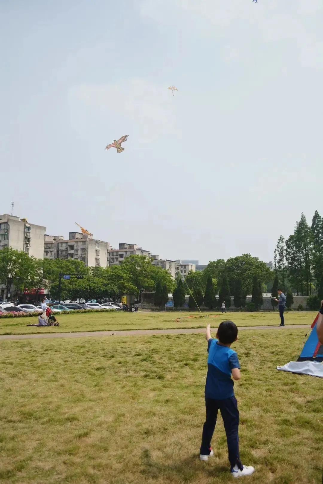 大草坪放风筝,草坪大风筝