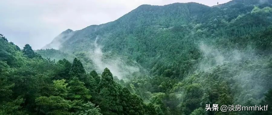 越秀滨海花城值不值得买,越秀滨海花城
