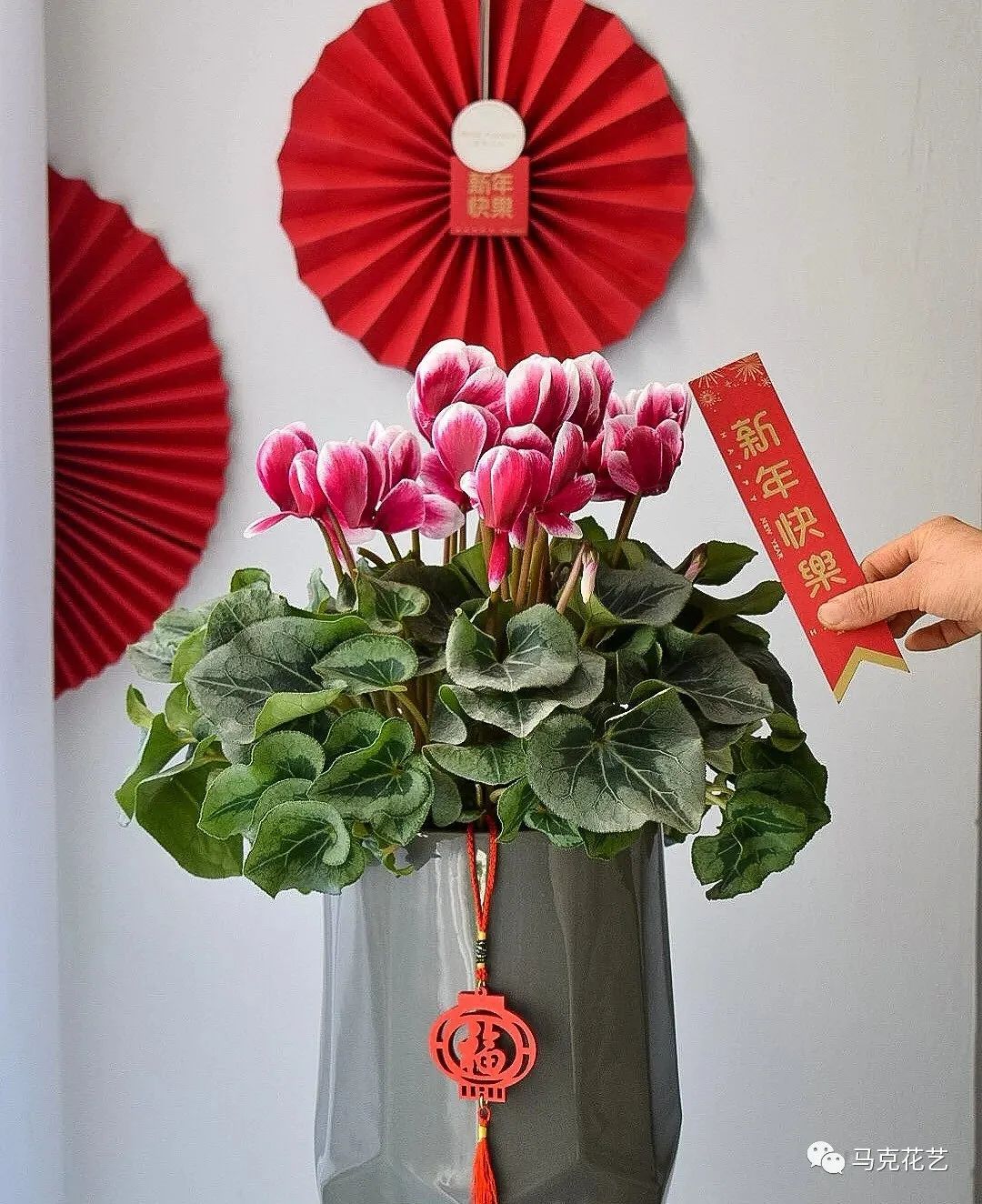 马克花艺｜送对花表对意，别让好心办坏事