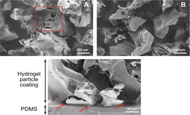 抗菌肽液体喷雾剂,抗菌肽喷雾剂