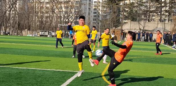 青岛贺岁杯足球赛,淄博华光国瓷杯金鱼大赛