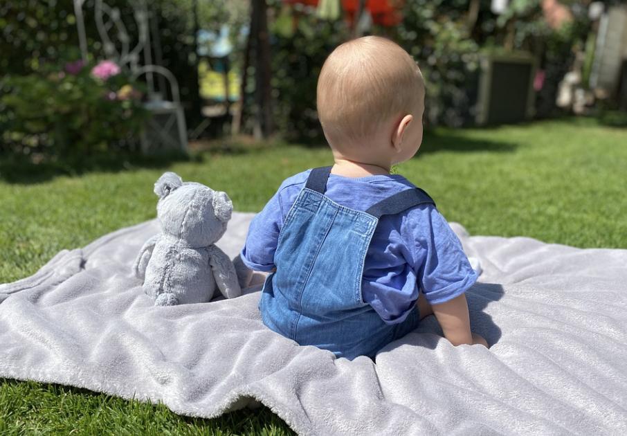 补锌最佳10种食物,补锌最好的10道菜