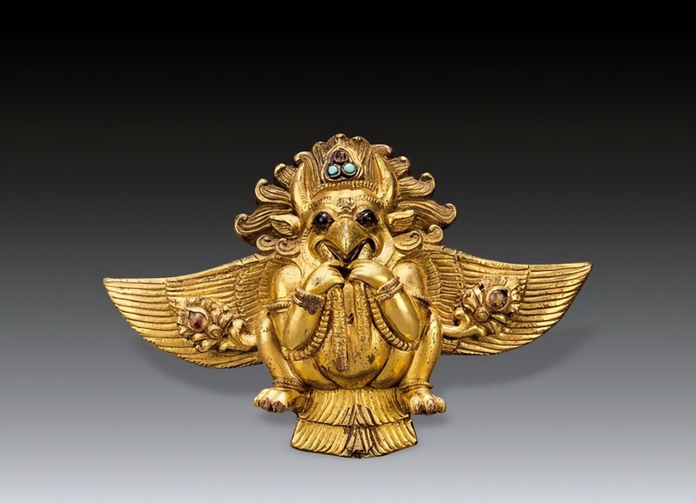 金翅鸟图像分析,金翅鸟视频大全