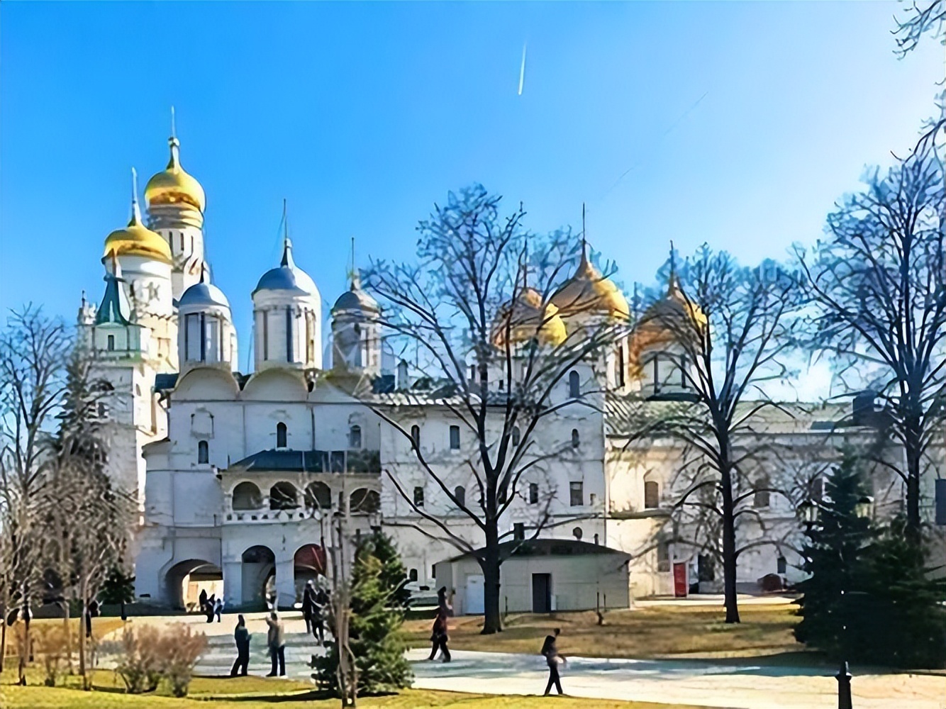 老美*官高**，喜提“排泄物”全球笑话!