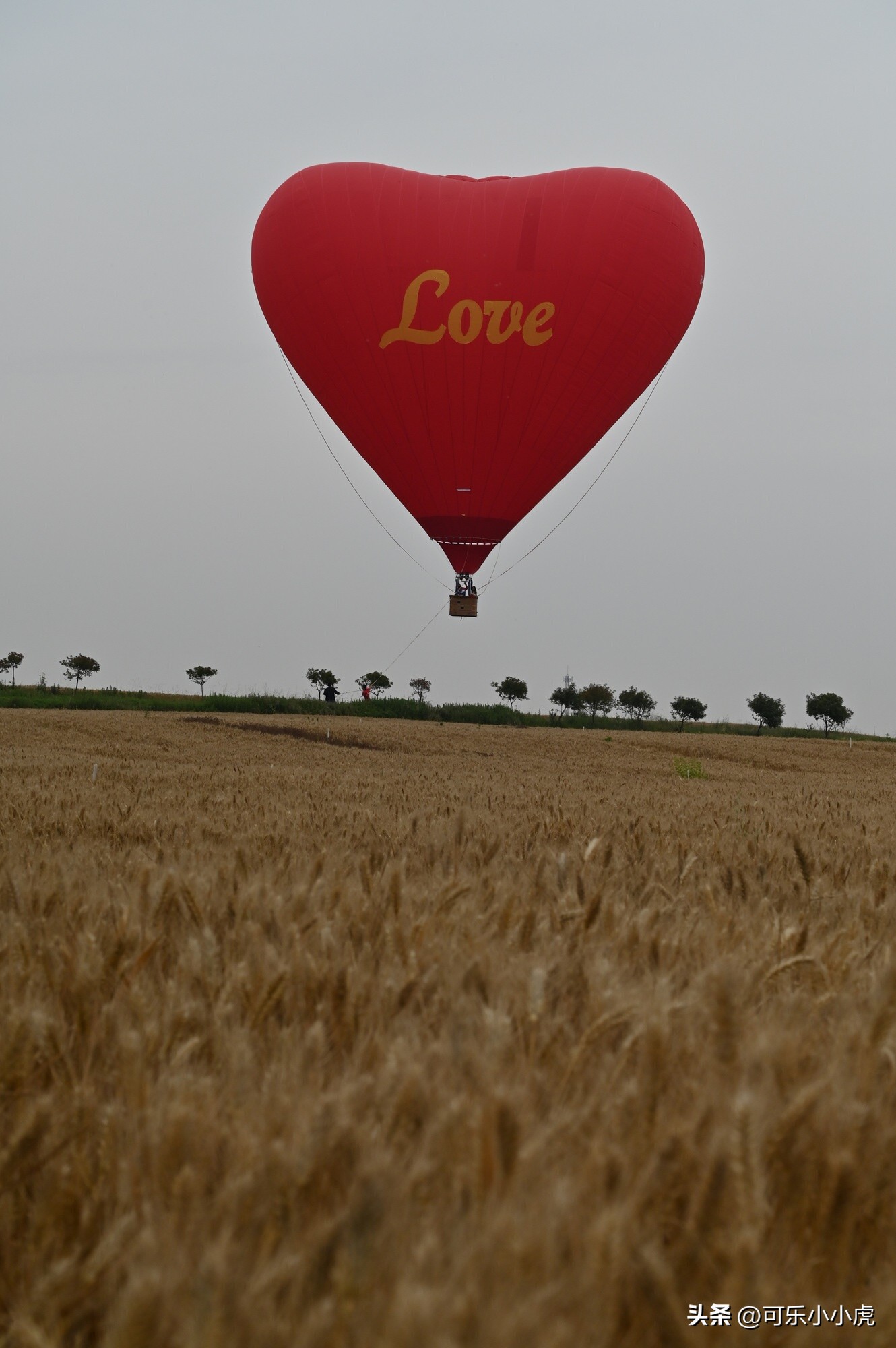 HTY-S型异形热气球型号合格审定末次会议成功召开