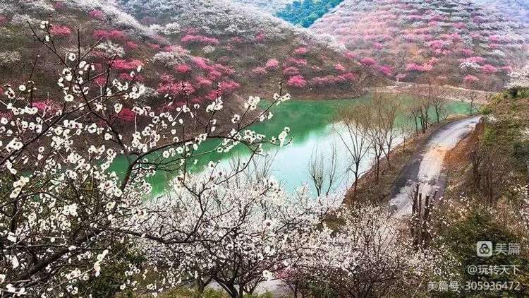 安吉竹海自驾游攻略一日游,安吉竹海旅游攻略二日游