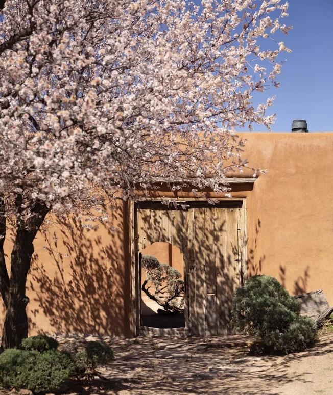 世界知名女画家独居沙漠35年！拒毕加索登门…网友：连家都是艺术