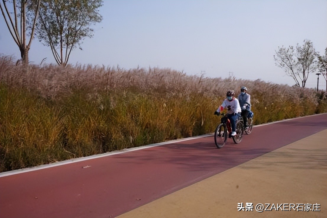 石家庄早新闻,早新闻完整内容