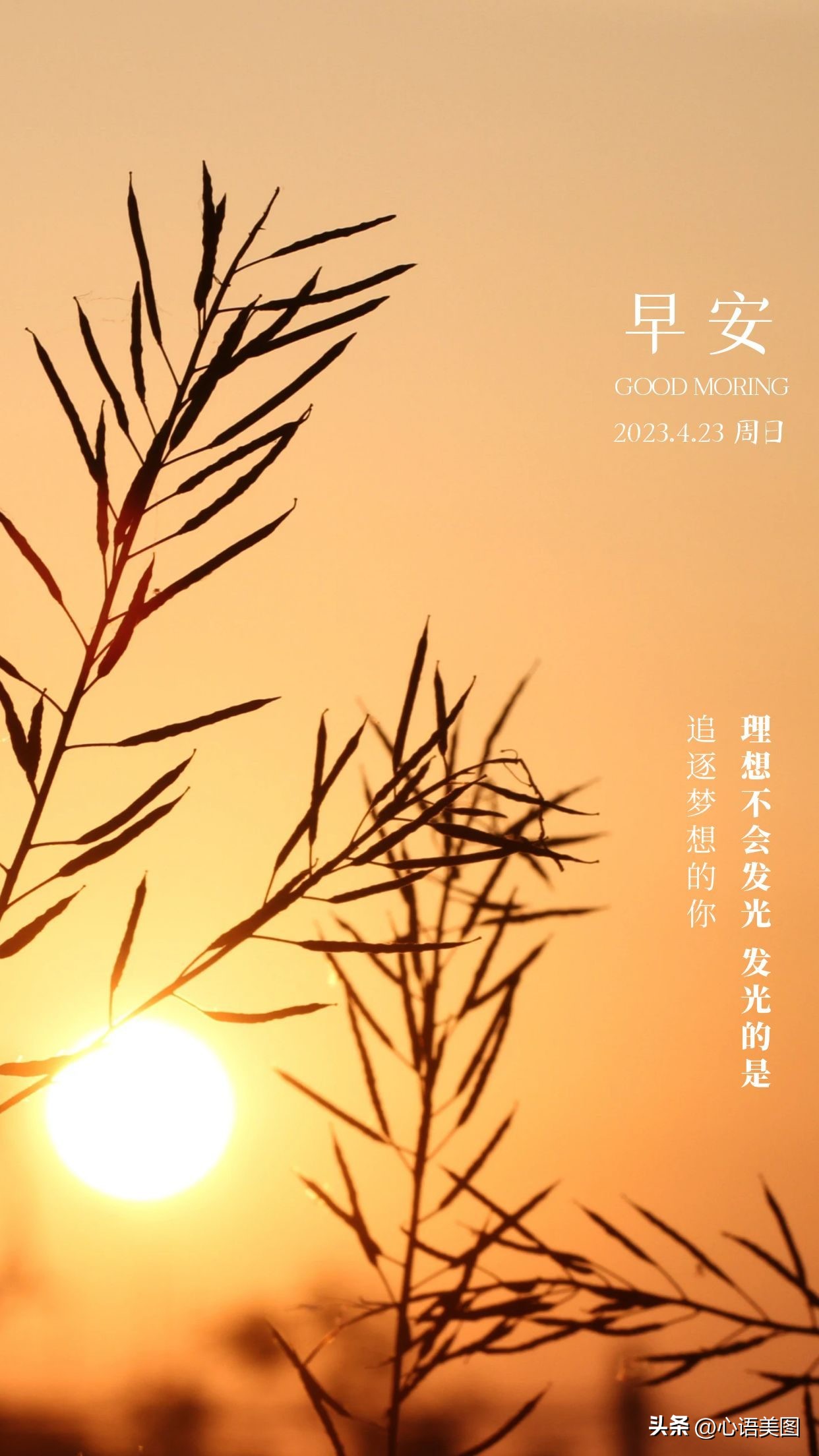 和拼搏改变命运相似的文案,人的磁场能量与命运文案