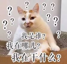 在花园中思考宇宙——詹克斯宇宙思考花园