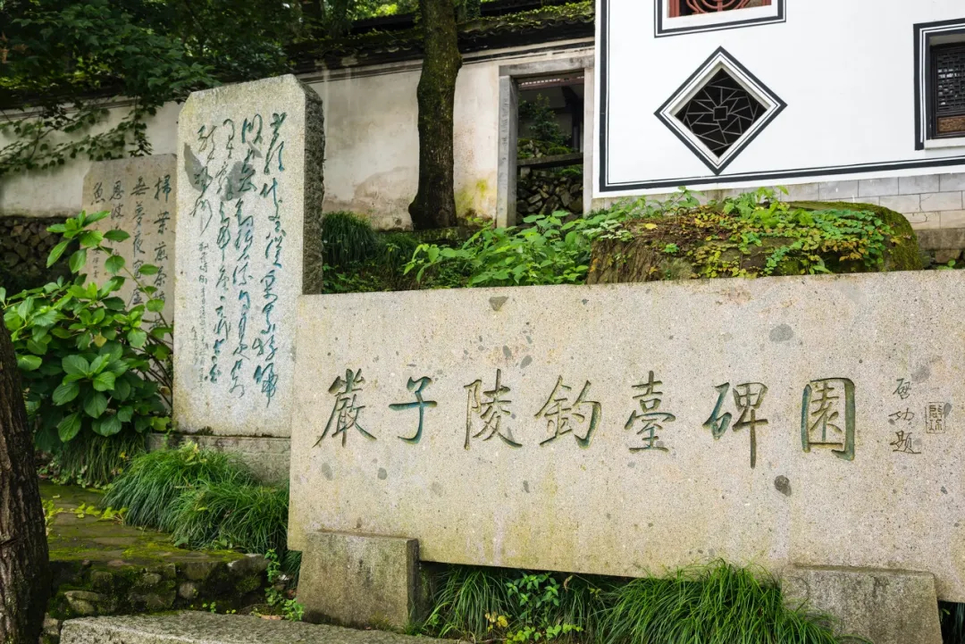 向往的生活浙江桐庐,桐庐值得不值得去