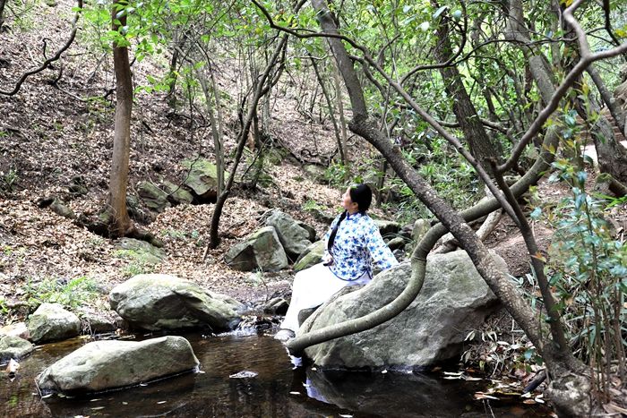 昆明青龙谷生态旅游,昆明市青龙峡风景区