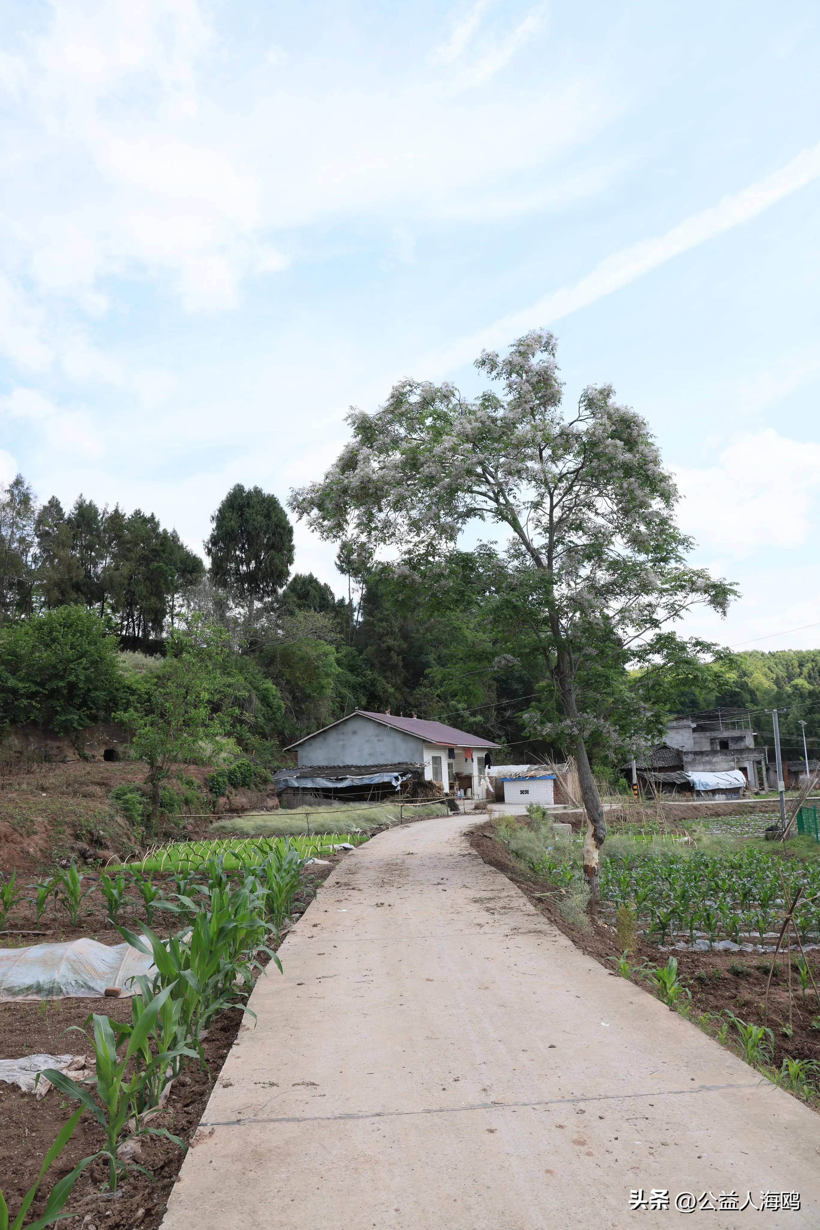 真爱回眸05：《为春荣的坚强报之以歌的幸福屋》