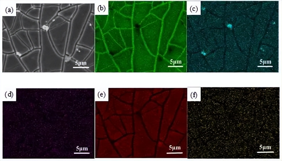 中北大学赵宇宏教授团队:石墨烯纳米片/AZ91D镁基复合材料腐蚀行为研究