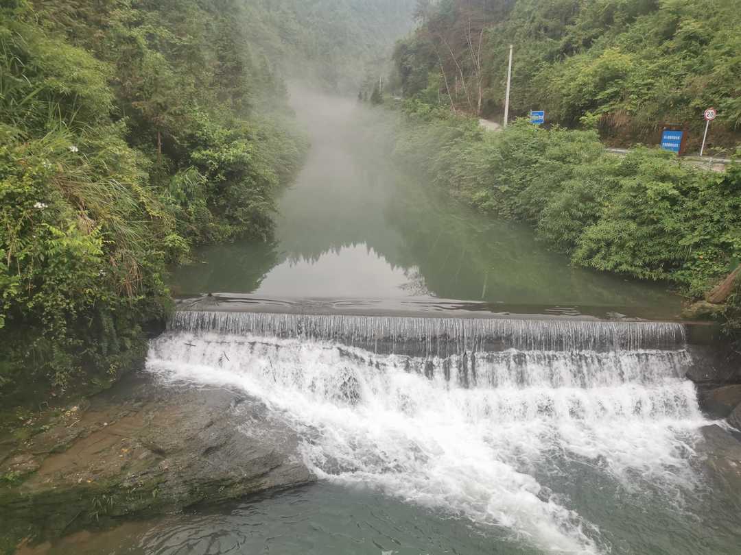 不为人知的土家神茶,回甘神茶