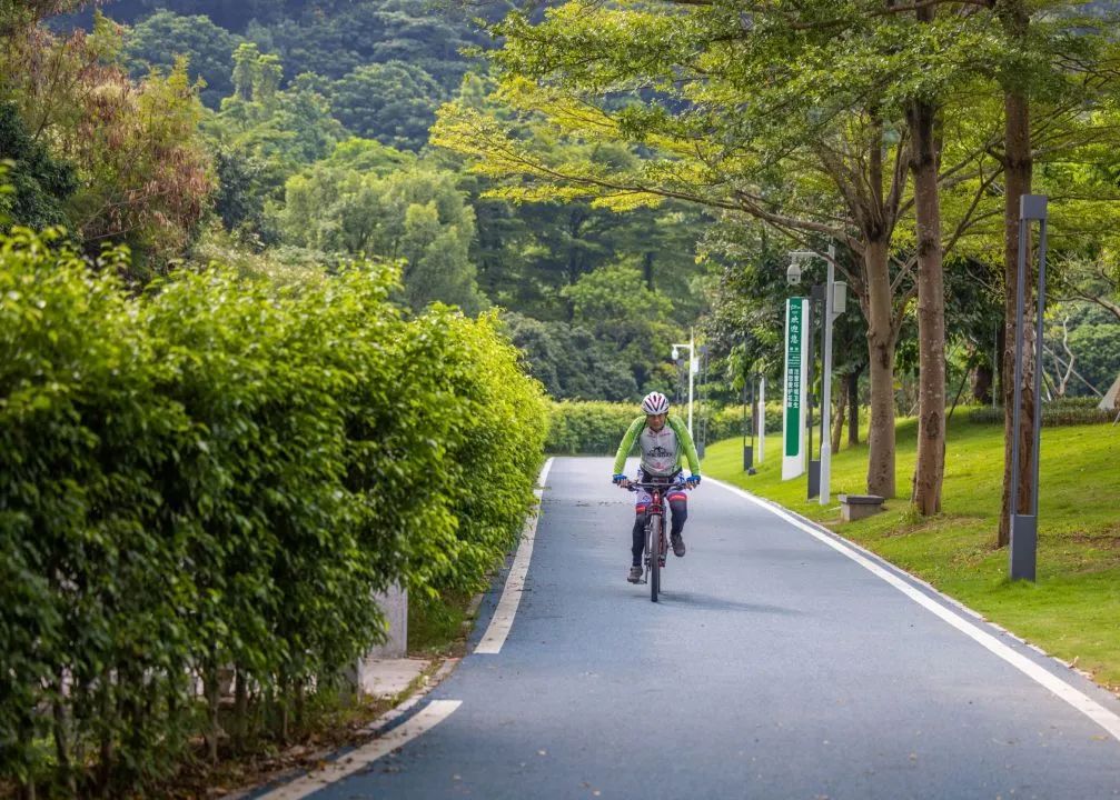 深圳凤凰山有条绿道叫什么,深圳凤凰山绿道旅游攻略